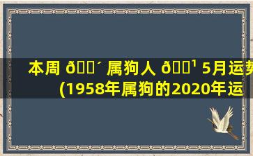 本周 🐴 属狗人 🌹 5月运势(1958年属狗的2020年运势)